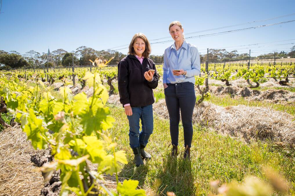 Henschke Cellars' viticulturist Prue Henschke and Vinehealth Australia chief executive officer Inca Pearce.