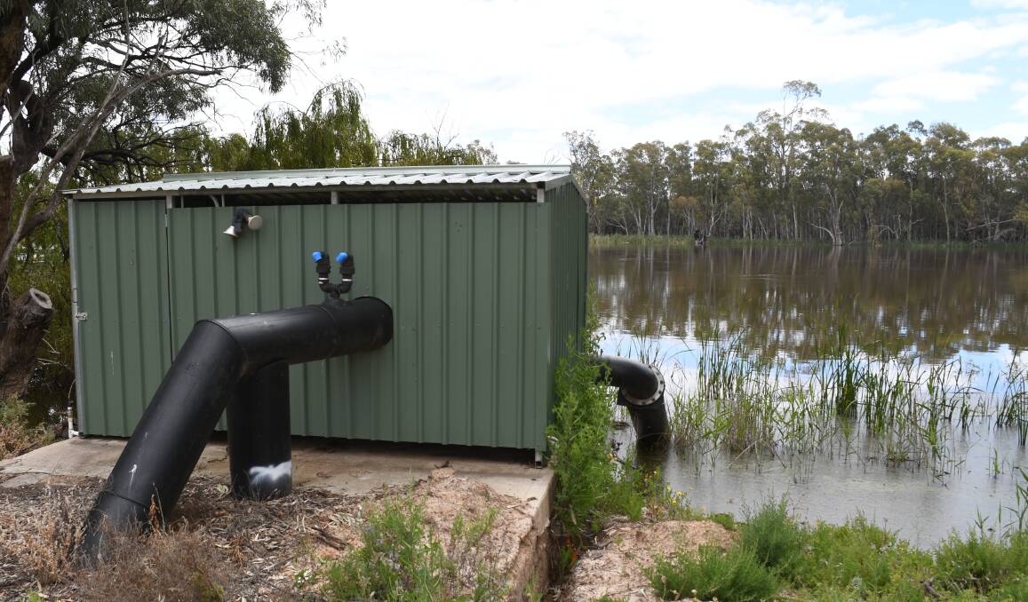 "This round of the scheme will be of particular assistance to livestock and horticulture producers impacted by the River Murray floods," Primary Industries Minister Clare Scriven said. File picture