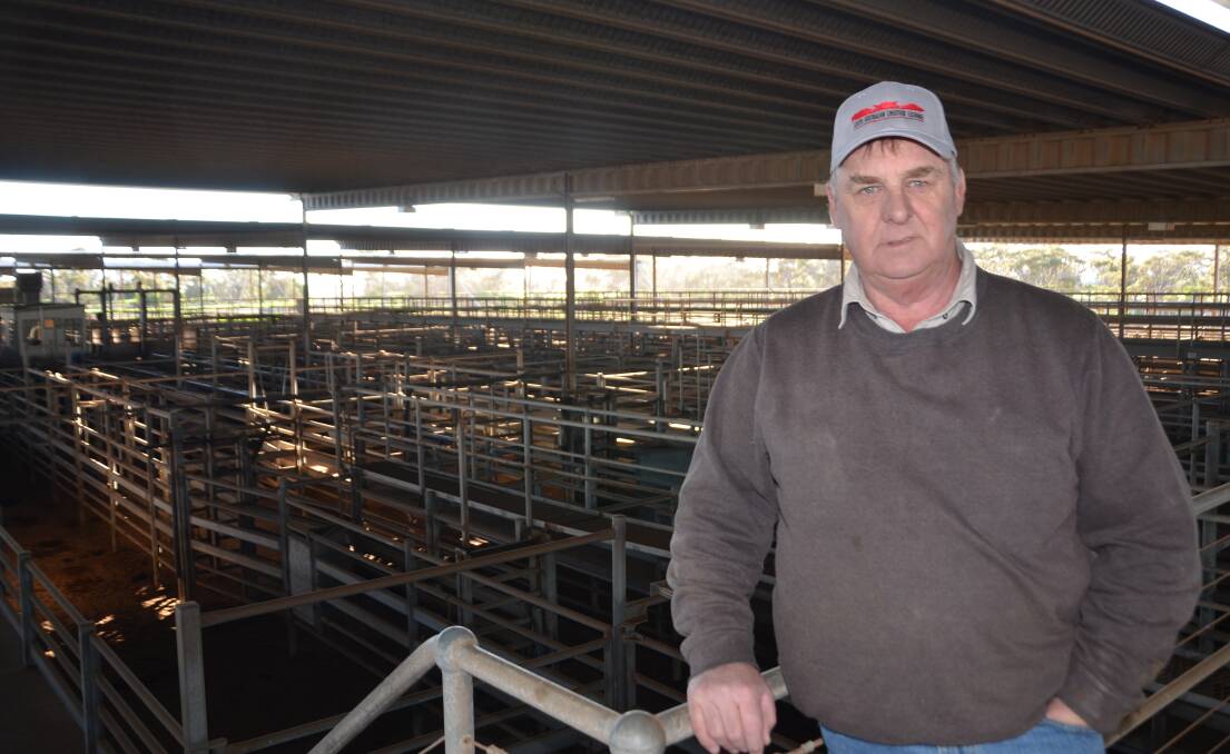 PLAYING IT SAFE: Dublin saleyards will implement strict social distancing measures at Tuesday's sale next week.
