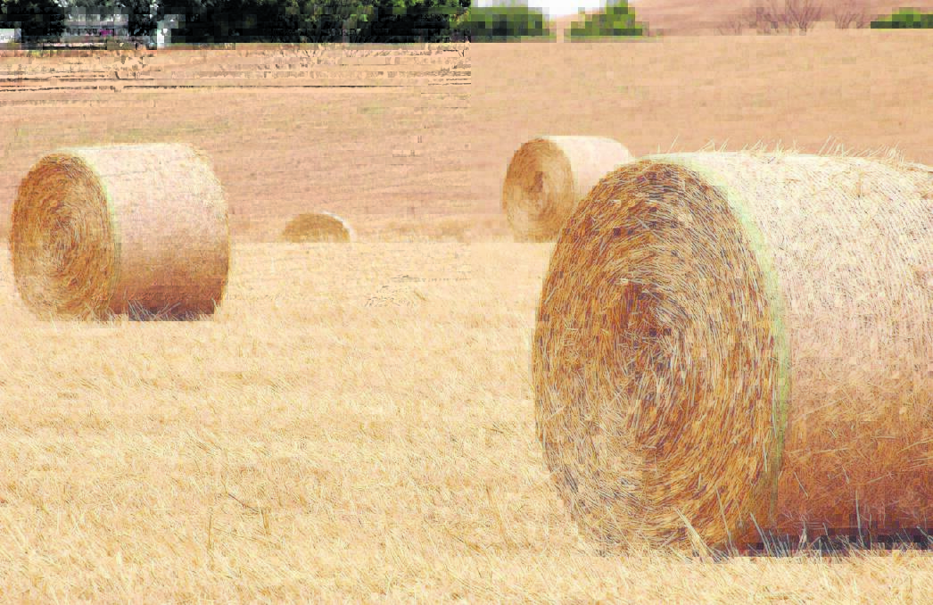 STEADY: Despite demand slowing in recent weeks, prices have held firm in the local hay market. Prices are not expected to shift much in coming weeks.