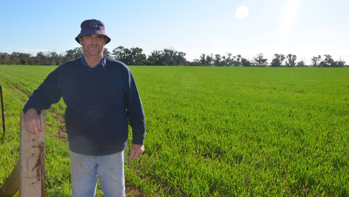 WORTHWHILE CHOICE: Investment into machinery suitable for a no-till program has reaped rewards for Nurom's Graham Seidel.
