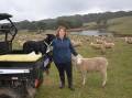 NEW DIRECTION: Sammy McIntyre with her dog Tilly and her composite ewe lambs, which mark the beginning of a flock transition.