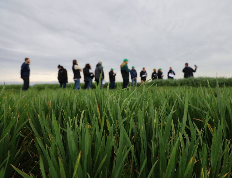 A series of National Grower Network meetings in June will give SA grain growers the opportunity to share with GRDC staff their ideas and observations about local issues to help direct RD&E investments. Picture by GRDC