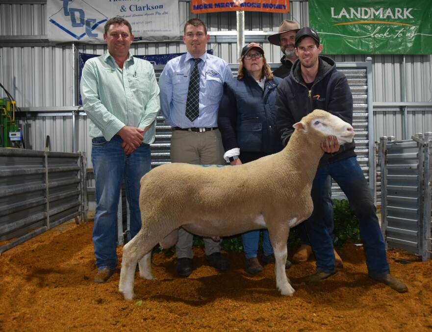 Landmark's Sam O'Connor and Thomas DeGaris & Clarkson's Matt Treglown with Alison, David and Mason Galpin and their $5100 sale-topping Poll Dorset ram at the family's 2019 sale in October.