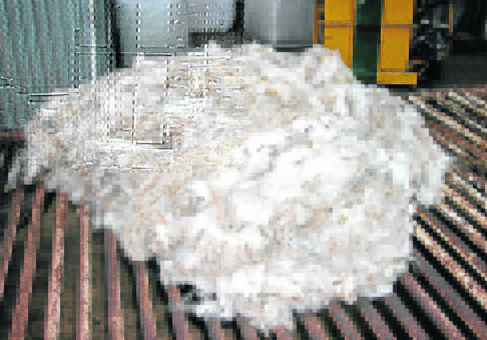 AUTOMATIC ACTION: Research into automatic wool harvesting has commenced.