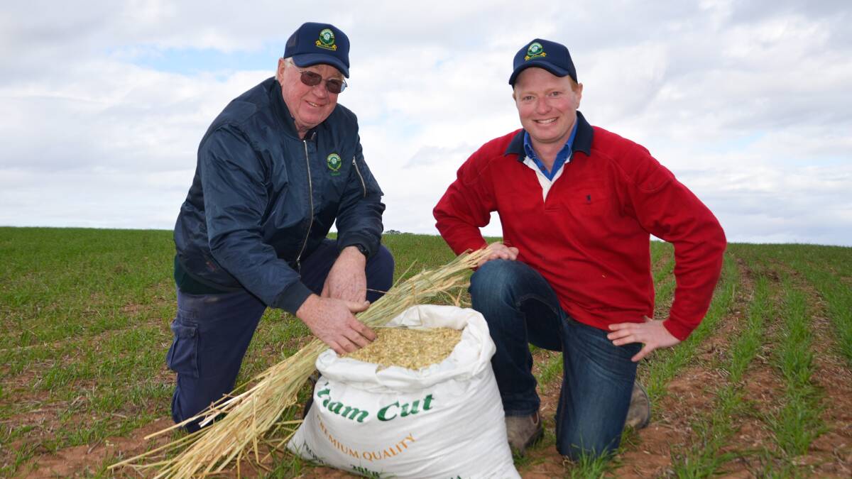 The Nitschke family, Belvidere Ridge Chaff, Greenock, made the change to chaff eight years ago and are proud of the product they are producing. 