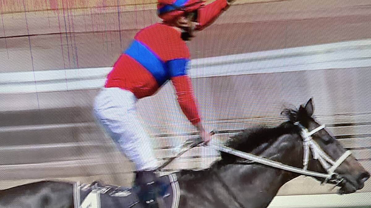 Verry Elleegant blitzed them to win the Melbourne Cup. Picture: Screenshot
