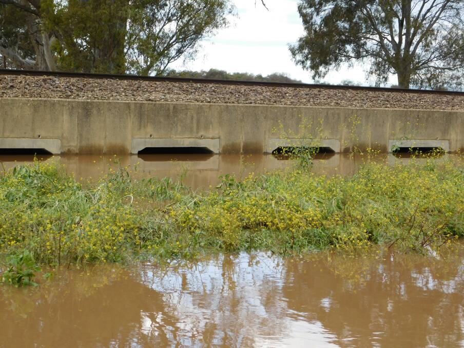 HIGH TIDE: The culverts were unable to drain the flood waters.
