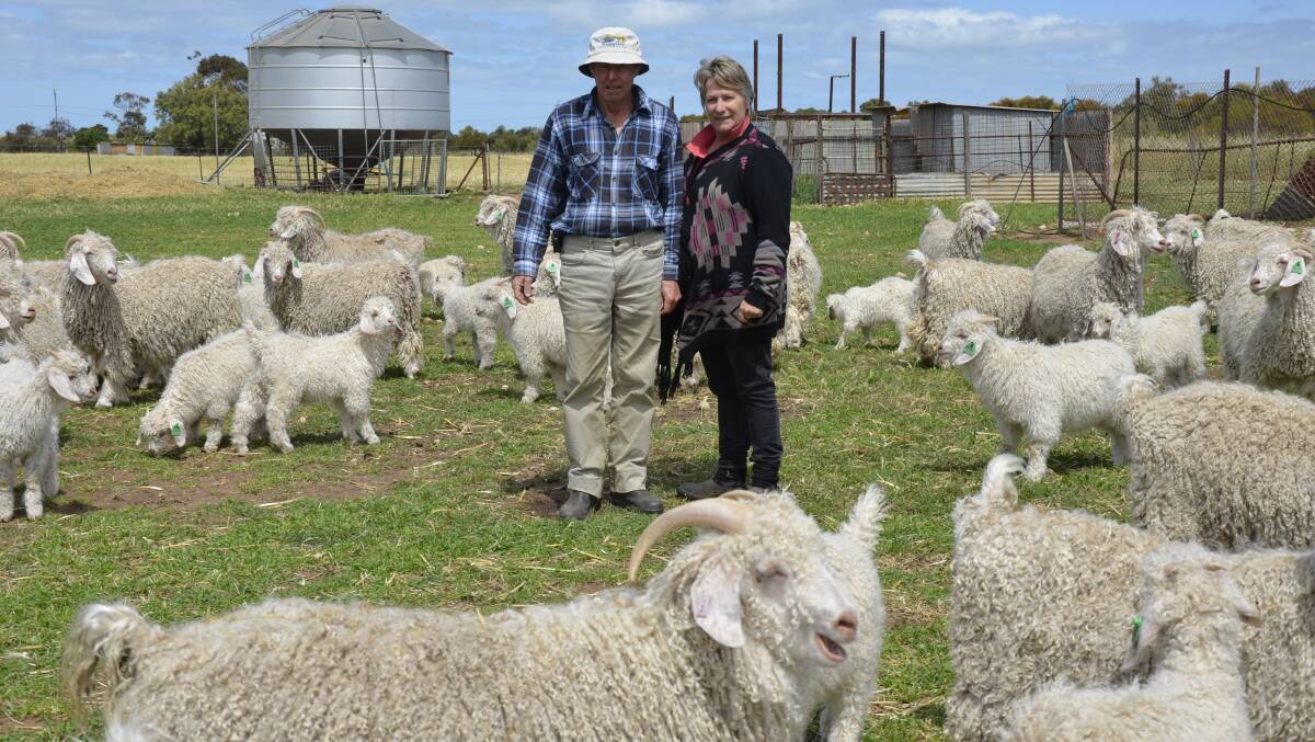 QUALITY MOHAIR: Don and Lynne Carter with some of their Angora flock at Moonta.