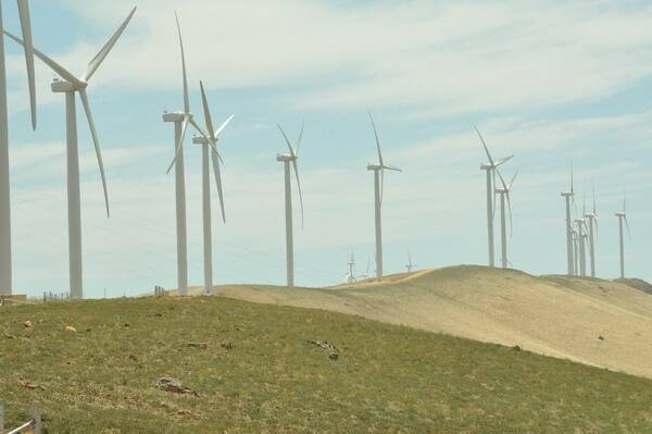DIVERSIFICATION: Wind turbines in Hallett have provided farmers with an alternative form of income, which was particularly useful during the recent drought.