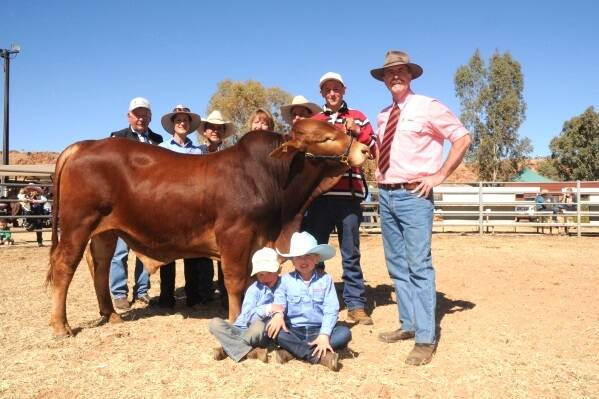 Bos Park sold the top priced bull of the sale, pictured is buying agent Traillco's Doc Cunningham, with Bos Park's Sally and Matt Bekker, buyers Jane and Andy Hayes, The Gardens, Alice Springs, and their son Steven, with Elders auctioneer Tom Penna, and the Bekker's daughters Liesel and Grace.