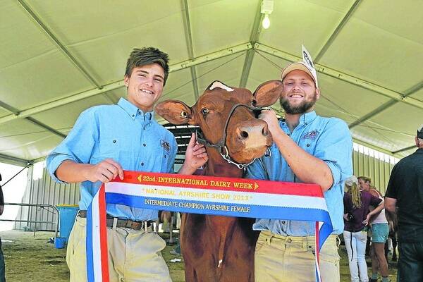 INTERMEDIATE CHAMP: Glencoe's Ben Hentschke (right) and his brother Sam with their intermediate Ayrshire champion at International Dairy Week.