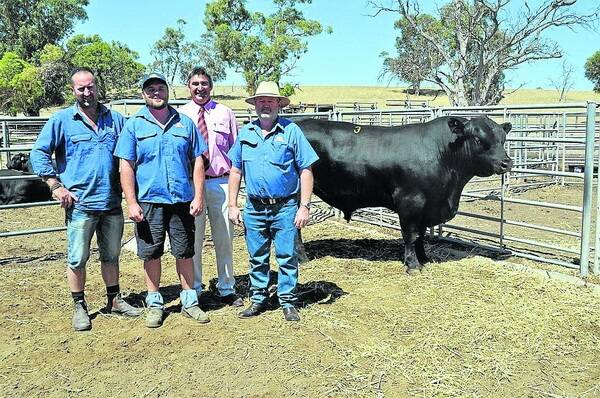 FIVE FIGURES: Greg Fisher, Clover Ridge, Marcollat (left) paid the $10,000 top price at Roseleigh Angus stud's annual bull sale. Pictured with the bull are stud principals Mat and Ron Cowley from Pinnaroo and Elders Keith branch manager and auctioneer Laryn Gogel.