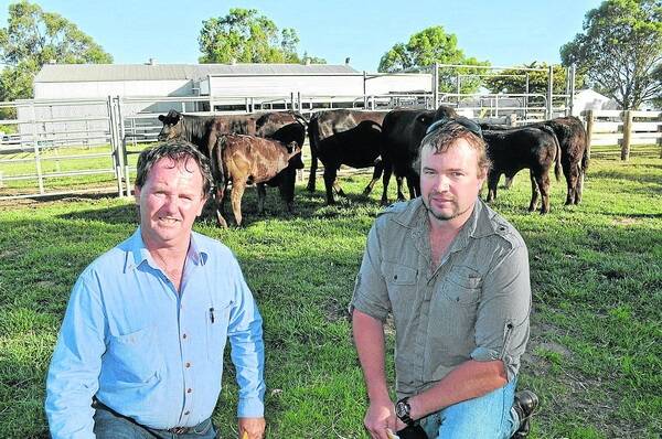 EDUCATION BOOST: Many new herds will benefit from Mandayen's genetics, including the Quirindi High School in northern New South Wales. Stud manager Peter Hird and ag teacher Andrew Harries bought three PTIC females for the school's stud which is an important part of its ag program.
