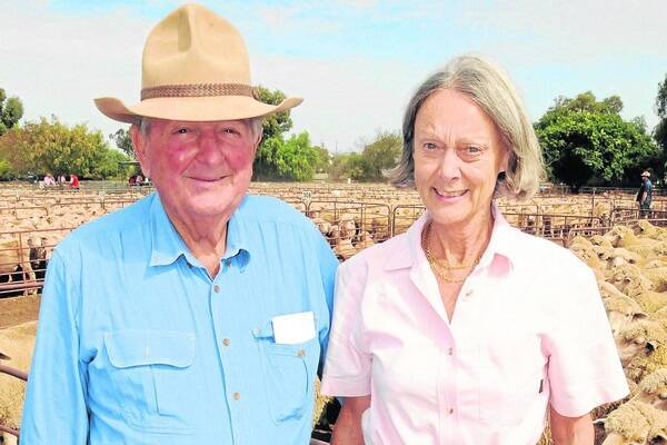 FEED FOR WETHERS: Tony and Liz Freebairn, Gilles Downs, Iron Knob, look for Merino wethers at the Jamestown sale last week. The Freebairns said they would still had a bit of feed on their property.