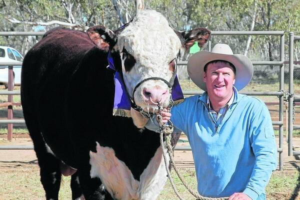 GRAND CHAMP: Tom Honner, Minlacowie stud, Brentwood with his grand champion Poll Hereford and all breeds champion bull, Minlacowie Graphite. It is the third year in a row Minlacowie has claimed the top honour.