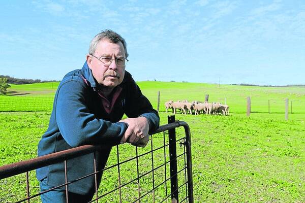 STAY WITH IT: Manoora producer Allen Kelly is urging farmers to get on the front foot in the mulesing debate.