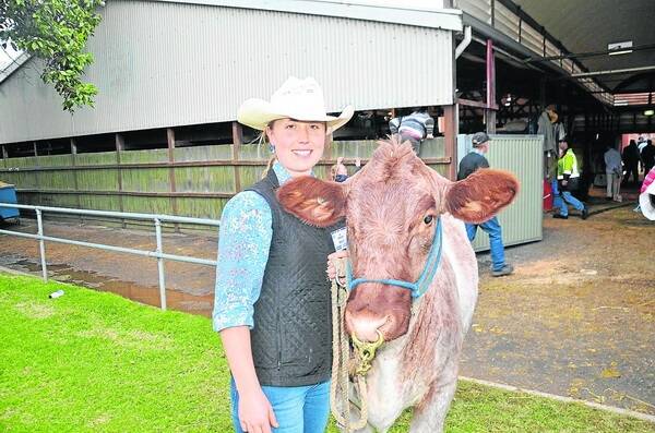 CHAMPION AT WORK: Jordan Meade is in her second year of a Veterinary Science Degree at the University of Adelaide, and has been showing cattle since she was five.