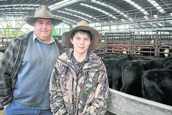 TOP STEERS: Craig Jones and son Lachie, Lochaber, sold the highest-price steers in Landmark s run at Naracoorte market last Thursday. Their 12 Pathfinder blood 351-kilogram Angus made $695, and further 13 of their steers $570.