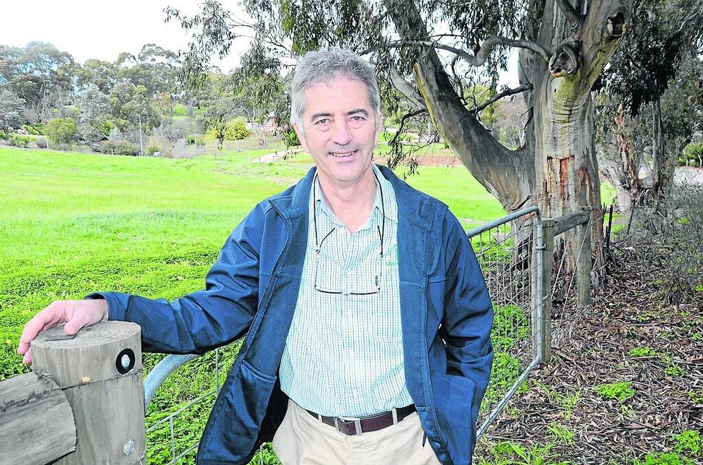SURVEY CALL: Hamilton vet David Rendell, Victoria, who is running a survey to find out more about phalaris toxicity, encourages South Australia producers to also submit results.