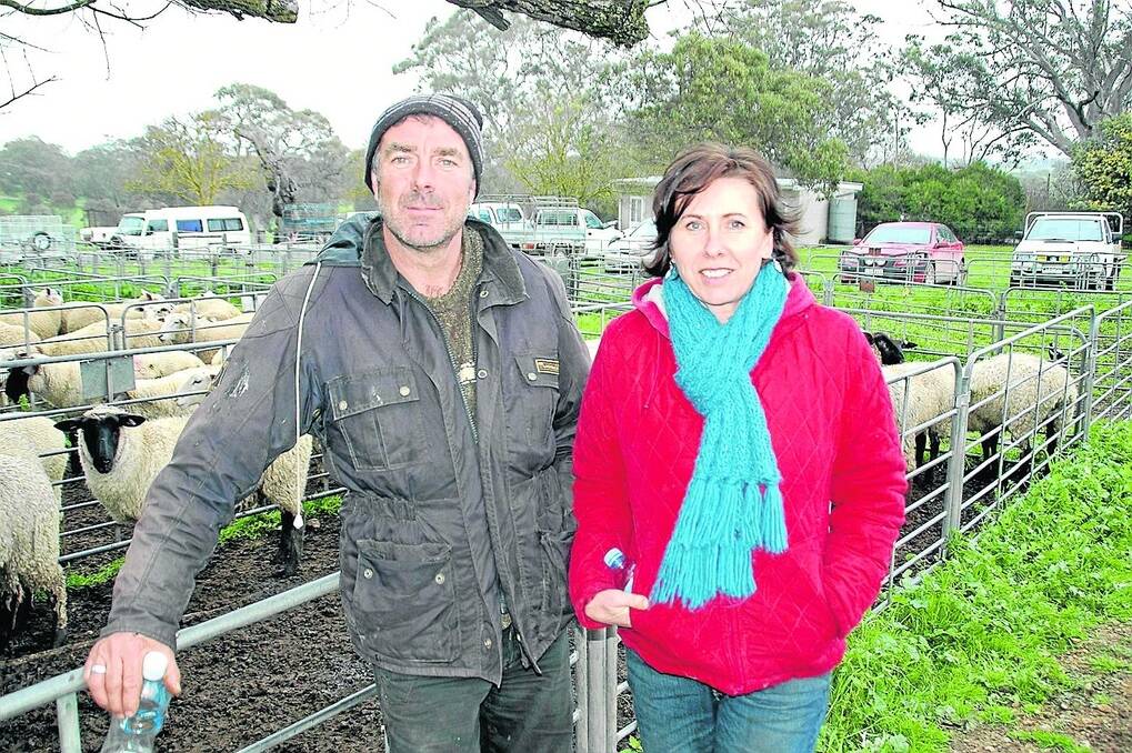 SUFFOLK STARS: Regular Mount Pleasant vendors Darren and Angie Aubert, Harrogate, sold 20 Suffolk wether lambs, Pine Ridge and Stratford blood, to $92. Darren said the price 'wasn't too bad' considering that he had sent better lambs to market in the past.