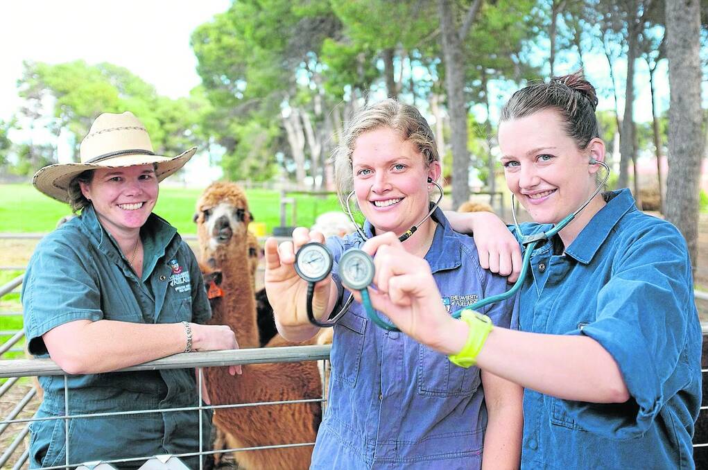 ON PATROL: University of Adelaide School of Animal and Veterinary Sciences production animal clinician Mandi Carr and veterinary science students Brittany Anderson and Bec Lambert will be doing the rounds at the Royal Adelaide Show, helping to ensure the thousands of animals entered to compete at this year s event will stay healthy.