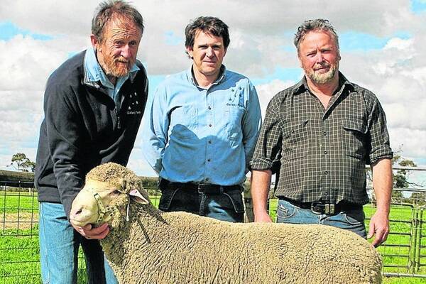 GALE FORCE: Galaxy Park's Geoff and Michael Gale with Tim Oldfield, Toldu stud, Keith, buyer of the top-price SAMM ram at $1450.
