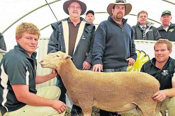 SALE-TOPPER: With the $2100 top-price ram at Kattata Well are principals Rohan and Leroy Hull (squatting) and buyers Paul and Ashley May, Mayome, Kyancutta. At the rear are Eyre Peninsula Livestock's Henry Zwar and Richard Hill (right), with Quality Livestock's Lawrence Seal.