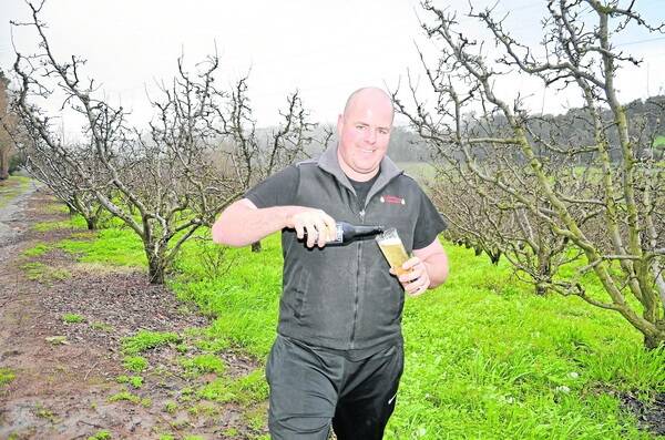 CELEBRATION TIME: Chamberlain Orchards' Damian McArdle with the new Paracombe Premium Perry at his orchard in the Adelaide Hills.