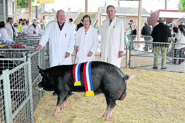 BEST OF BREED: Colin and Joy Lienert with the Berkshire boar named best of breed and judge Bruce Hamblin, Bendigo, Vic.