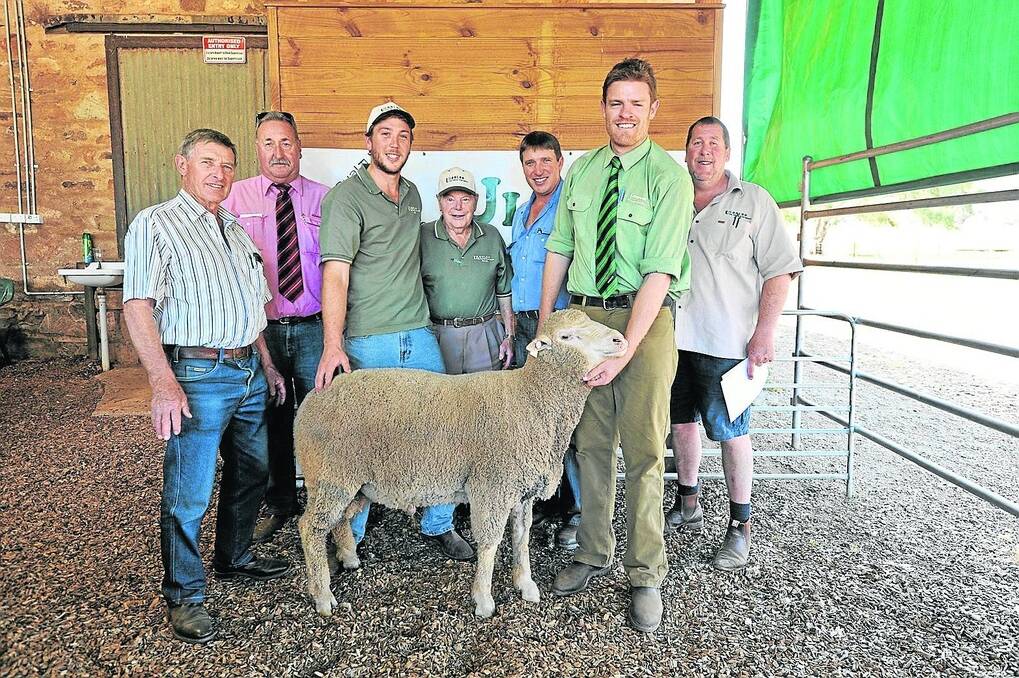 DOHNE SALE-TOPPER: Ulooloo's top-price buyer at $3100 was Peter Hall and son James (fifth from left), Jamestown, with Elders Clare's Peter Rolstone, Ulooloo's Rob Hall and his grandfather Allan, Landmark Burra's Tom Allen, and Ulooloo's Greg Hall.
