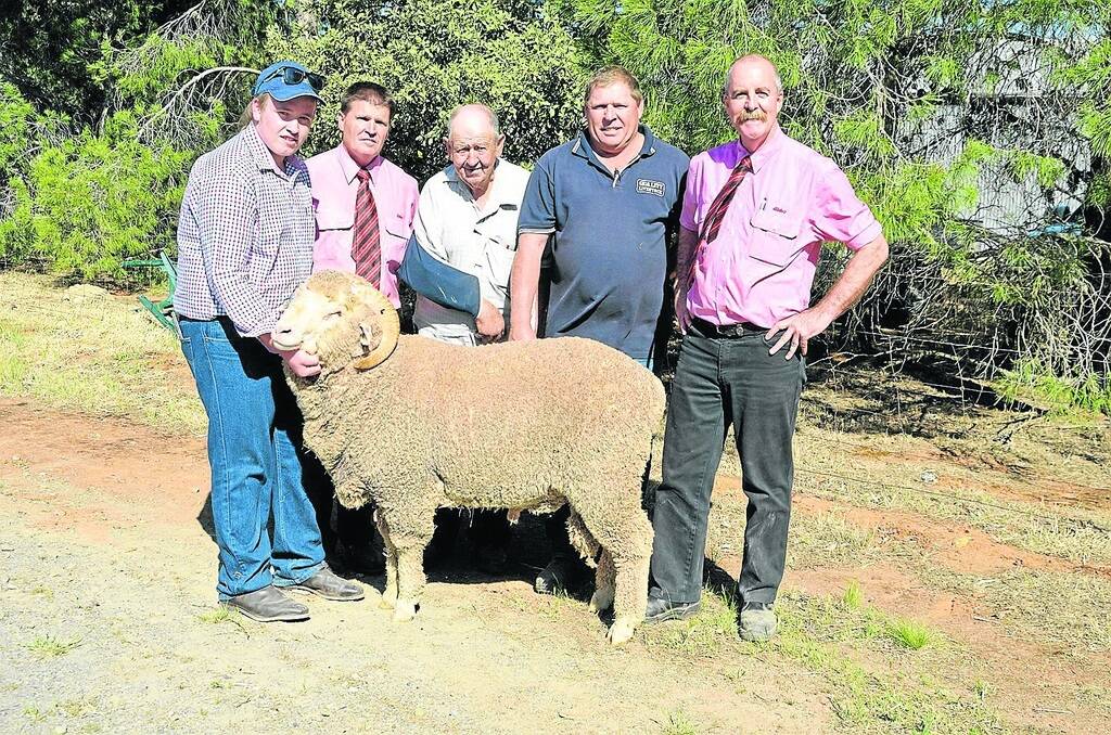 HEADING NORTH: East Bungaree's Will Brooks is holding the $4400 Merino topper that sold to Allen Growden (centre), Gleninga Park, Jamestown. They are with Elders auctioneer Tony Wetherall, Brenton Jones, Quality Livestock, Jamestown, and Elders auctioneer Tom Penna.