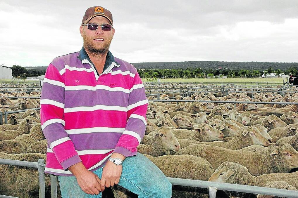 PROVEN BREEDERS: Damien Heym, Peake, bought this line of 161 Kamora blood ewes 2009-drop from Whygee Pastoral Company at $118.