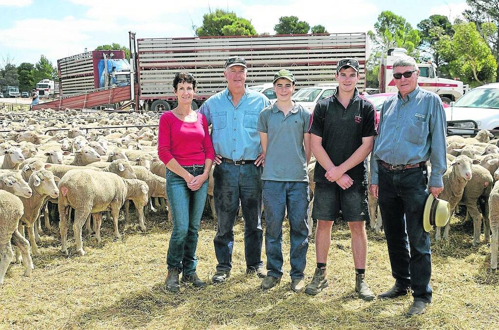 RIGHT COURSE: John and Bridget Steer and their two sons Danny and Shaun gained the $196 top price honours for young ewes at Lameroo with their line of 220 Lines Gum Hill blood ewes. They are shown with Gum Hill stud's Glan Lines, who celebrated his 70th birthday with the success of the bloodline.