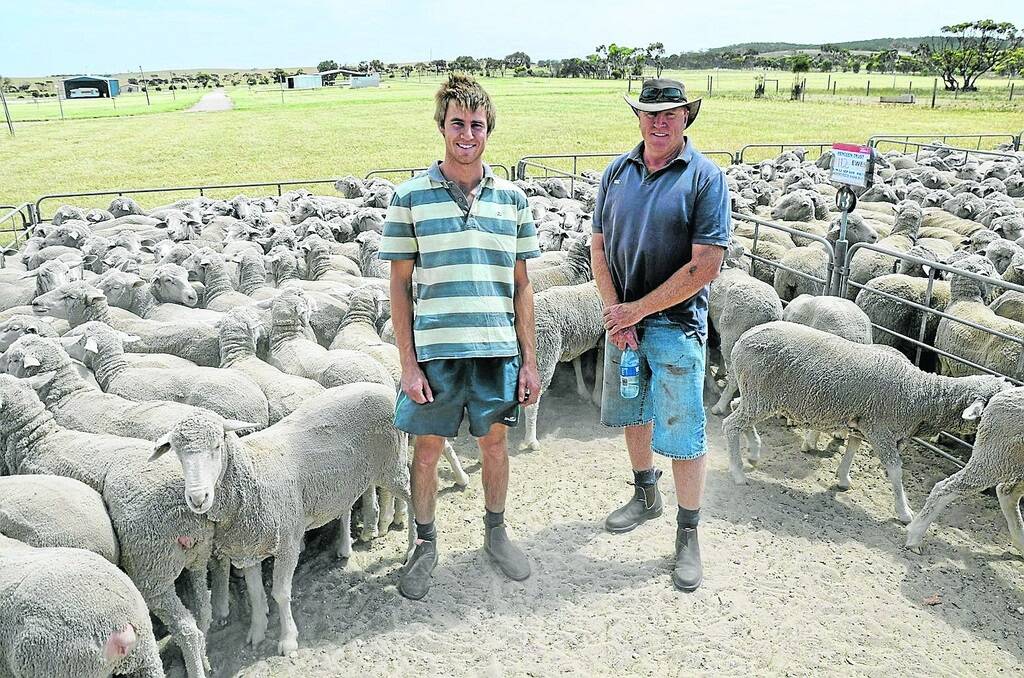 EWE BUYER: Cleve buyer James Kassebaum, JH&CA Kassebaum, Kimba, bought these 112 April/May 2012-drop ewes, September-shorn, mulesed and tail-stripped Moorundie Park blood, from Matthew Dunn, Pendeen Trust, Rudall, at $136.