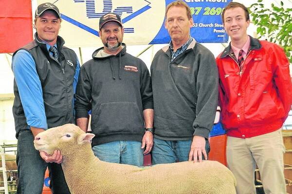 STUD BUY: Thomas De Garis and Clarkson auctioneer Ashley Braun holds the $2000 equal top-price ram at Warrawindi's annual ram sale. Also pictured is Warrawindi stud principal David Galpin, buyer Graham Slarks, Murrawa stud, Mount Gambier, and Elders Lucindale auctioneer Ronnie Dix.