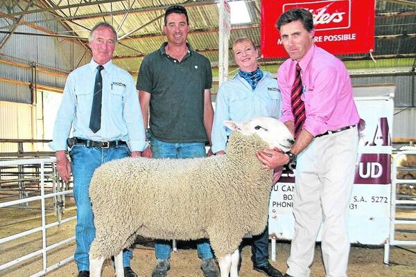 SALE-TOPPER: Pictured with one of the two $1500 top-price rams are Hanookra principals Rodney and Tracey Willmott, buyer Brendon Ross, Childerley Park, Naracoorte, and Elders auctioneer Tom Dennis.