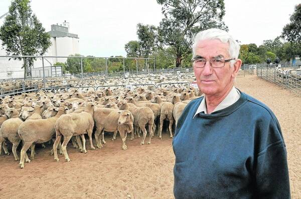MAXIMISING RETURNS: Commercial Merino breeder David Wallis, Serviceton, is believed to be the first Victorian to sell breeding ewes at an SA feature ewe sale since the changes to the ovine johnes disease trading rules came into effect on July 1.