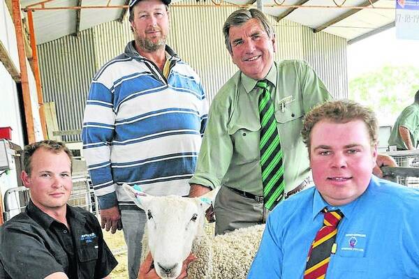 VICTORIAN STRENGTH: Josh Dowdy, Deepwater stud, Binnum, holds the $1400 top-price ram at the stud s Border Leicester sale on Wednesday last week, with buyer Neil Langley, Nangkita, Coleraine, Vic, and auctioneers Landmark stud stock manager Malcolm Scroop and Southern Australian Livestock's Mat MacDonald.