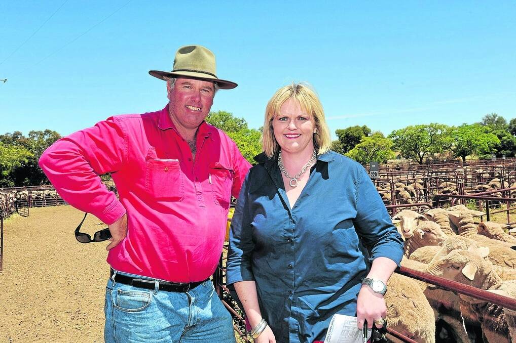 BUYING UP: Trevor and Jane Colliver, Langkoop, Vic, were major buyers at Jamestown, taking 555 Merino ewes back home across the border.