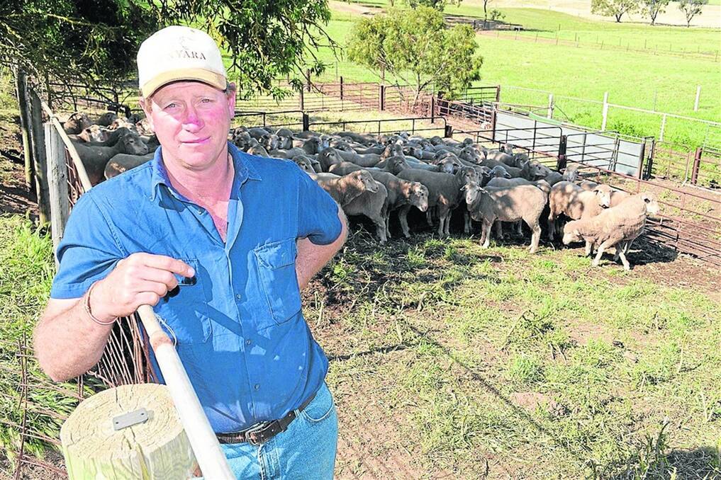 WALK THE TALK: For the past two years Ian Koch, Bunyara, Moculta, has run a poly-culture paddock, which he planted after a trip to the US to listen to Gabe Brown speak at a seminar.
