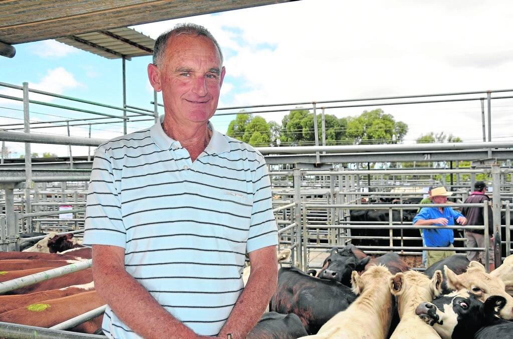 Dennis Thorpe, Kangarilla Meats, Kangarilla, bid solidly throughout Friday's Strathalbyn Feature Cattle Sale.