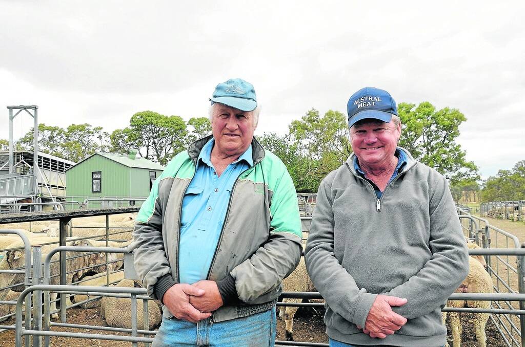 Maurice Tiller, Balaklava, bought lambs and Austral Meat s Peter O'Leary secured cattle at last week's Mount Pleasant market.