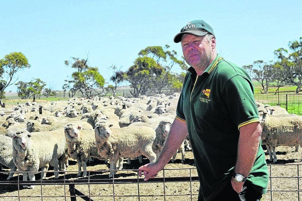 CONVERTED: Kielpa mixed farmer Denis Humphries says he has seen the sense in sowing medics on his pasture. 