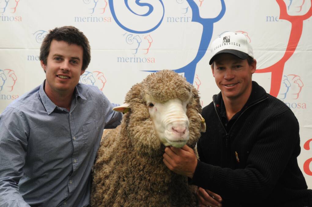 Buyer Luke Ledwith, Kolindale Merinos and Poll Merinos, Dudinin, WA and Collinsville stud manager Tim Dalla with the $66,000 ram.