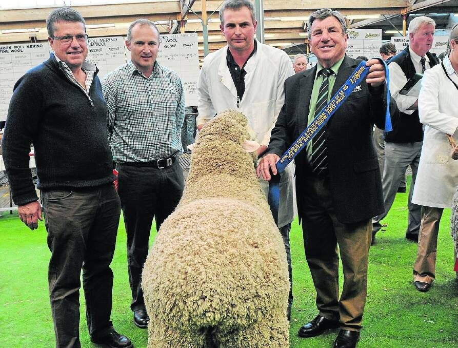 DUAL-PURPOSE WINNER: Judges Andrew Heinrich and Peter Wallace and Tom Davidson, Moorundie Park stud, winner of the meat-Fibre Meat Plus class with this ram sashed by Landmark’s Malcolm Scroop.