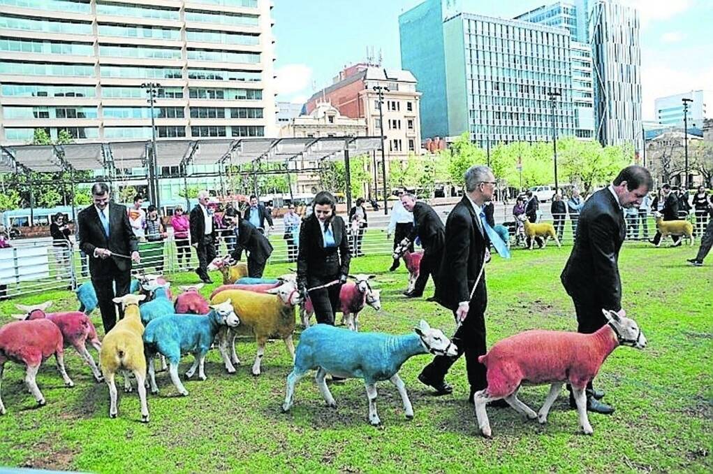MESSAGE DISPLAY: These sheep were part of an art display on Victoria Square in Adelaide on Wednesday to mark the 2014 International Year of Family Farming.