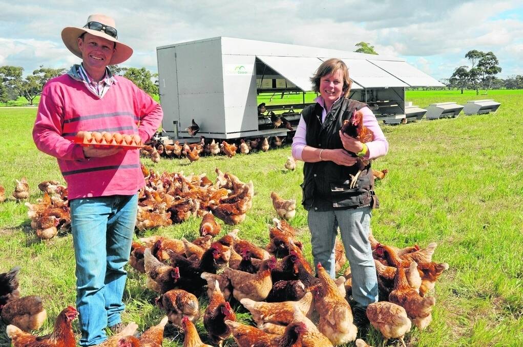 GREEN PICK: Bill Hood and Colleen Malthouse with one of the chicken caravans which houses 450 laying hens. The caravans are moved every few days to give the chooks a green pick for their pastured, free range eggs.
