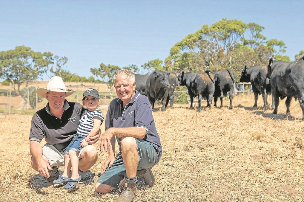 GLENTANNER Angus stud, Mount Gambier, is among the growing number of studs using genotyping to make genetic progress in their herd. Brad Lucas (pictured with daughter Piper and father Allan) says it also gives their commercial clients greater confidence in the bulls they are selecting. 