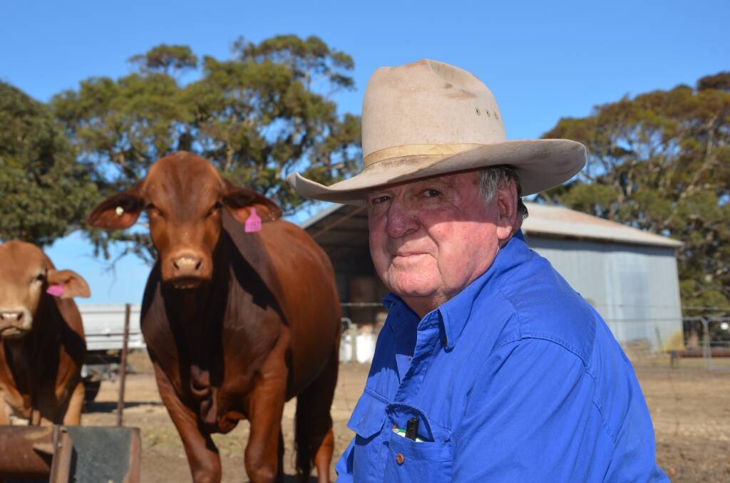 Bob McQueen, Marosa Droughtmasters, Victor Harbor, has sold 40 of his stud cattle to the Samoan government to improve its national herd.